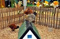 ABF_div   008